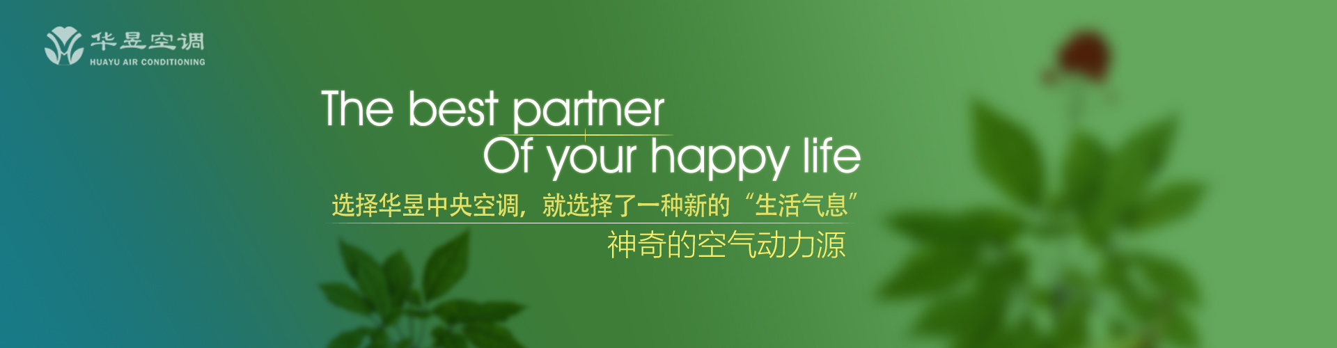一定不易网